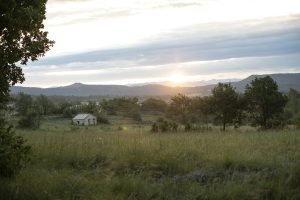 Eight days in lavander country
