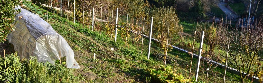 orti ecologici