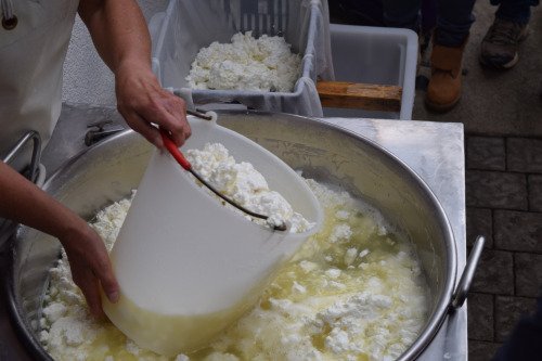 Graukase heese making