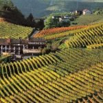 Il Museo Teatro del Paesaggio Langhe e Roero di Magliano Alfieri