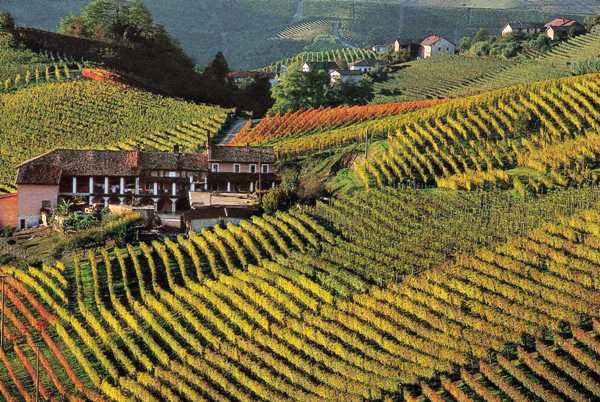 Il Museo Teatro del Paesaggio Langhe e Roero di Magliano Alfieri