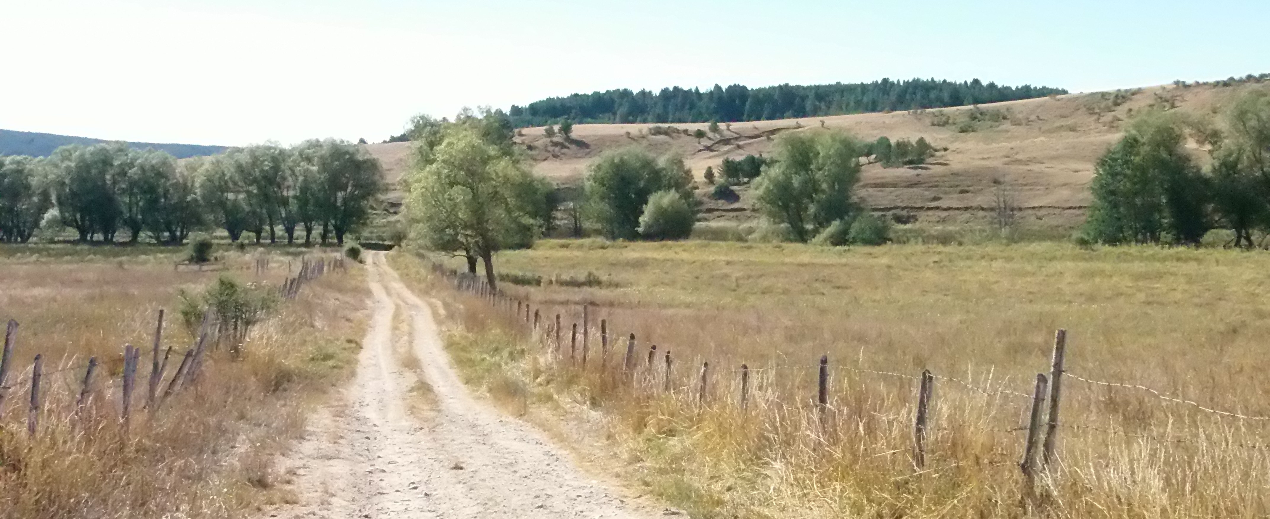 strada
