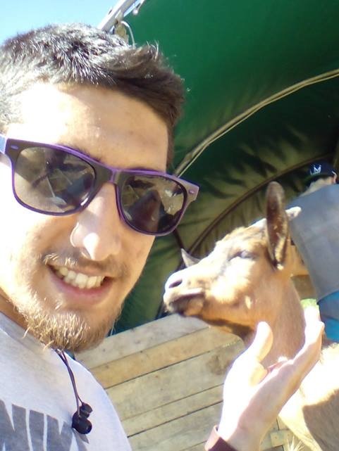 The New Gastronomes