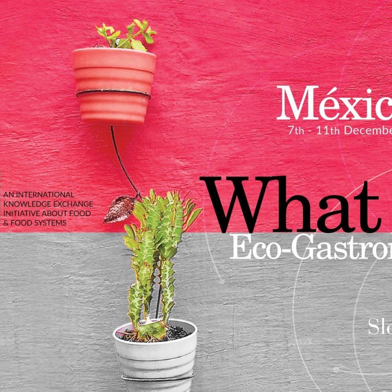 The Eco-Gastronomy Project - Mexico