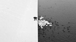 The mutation we live in (an essay on complexity)