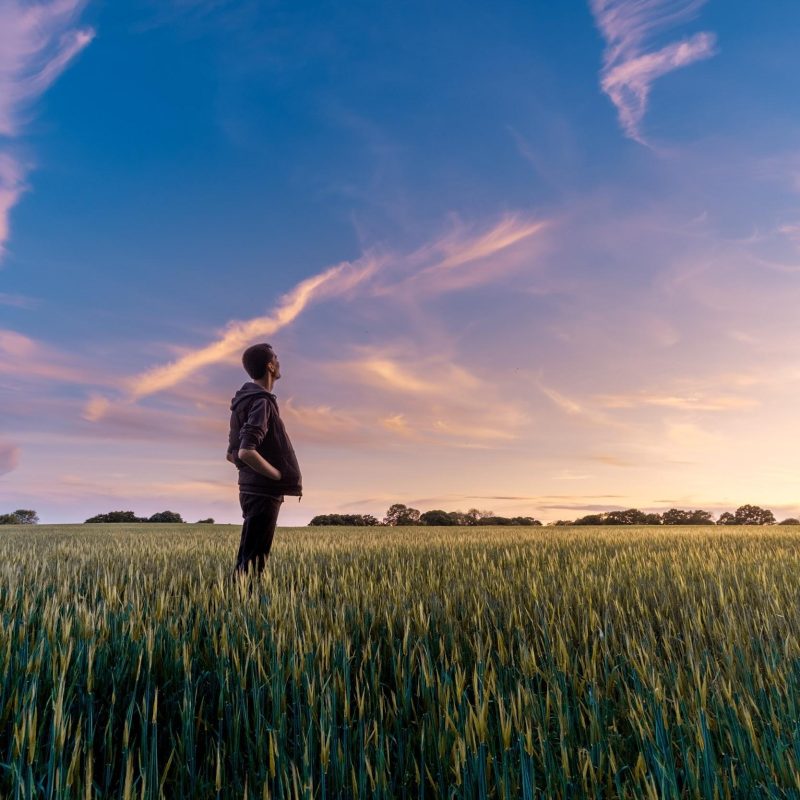Food Industry Monitor 2020