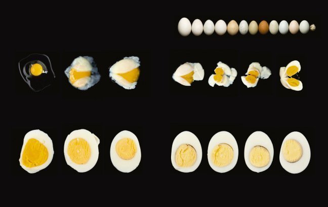 food-la-scienza-dai-semi-al-piatto (2)