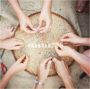 La sperimentazione ad UNISG sui cereali di vecchia costituzione nella stagione 2013/14: un occasione didattica
