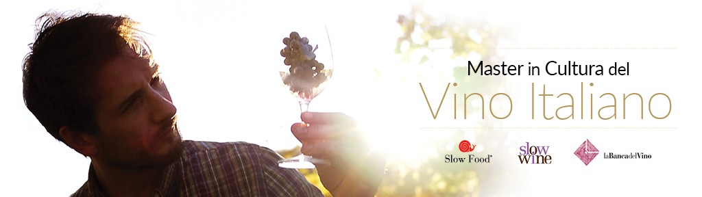 header_master_vino_1024x288px