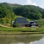 Spring course in Kobe, Japan