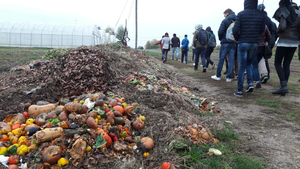orto_pian_bosco_unisg_stefano_pesce-6