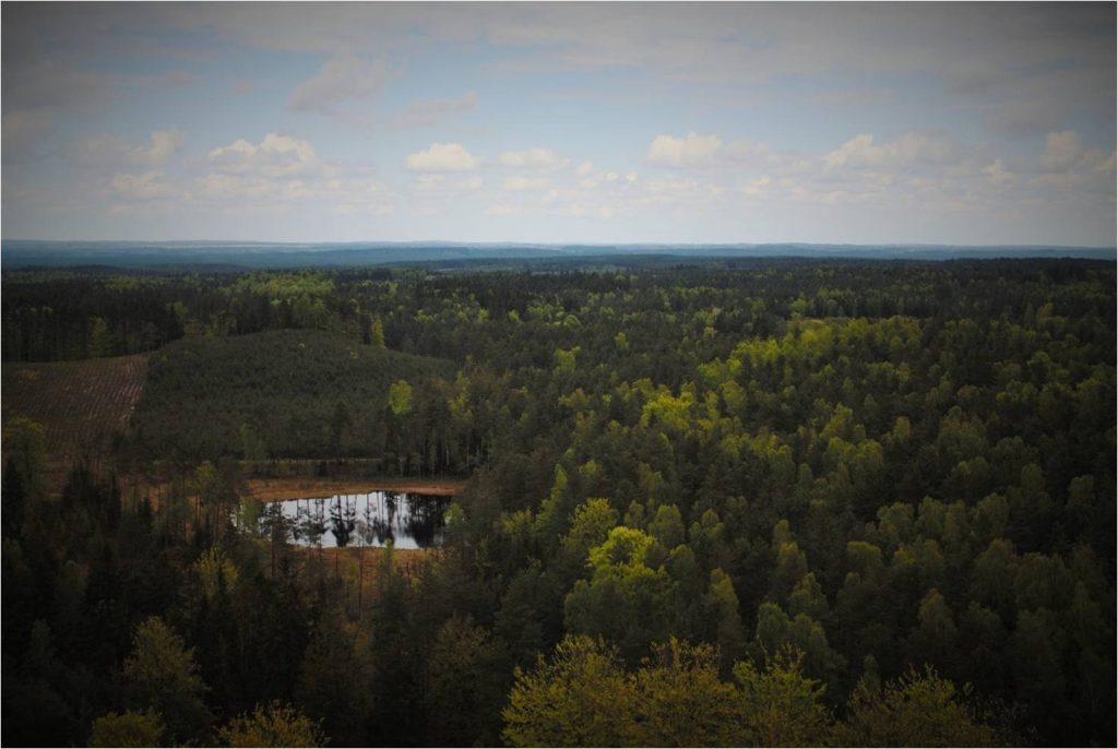 polonia