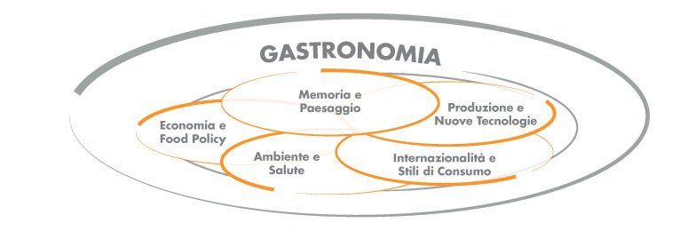 ricerca accademica unisg