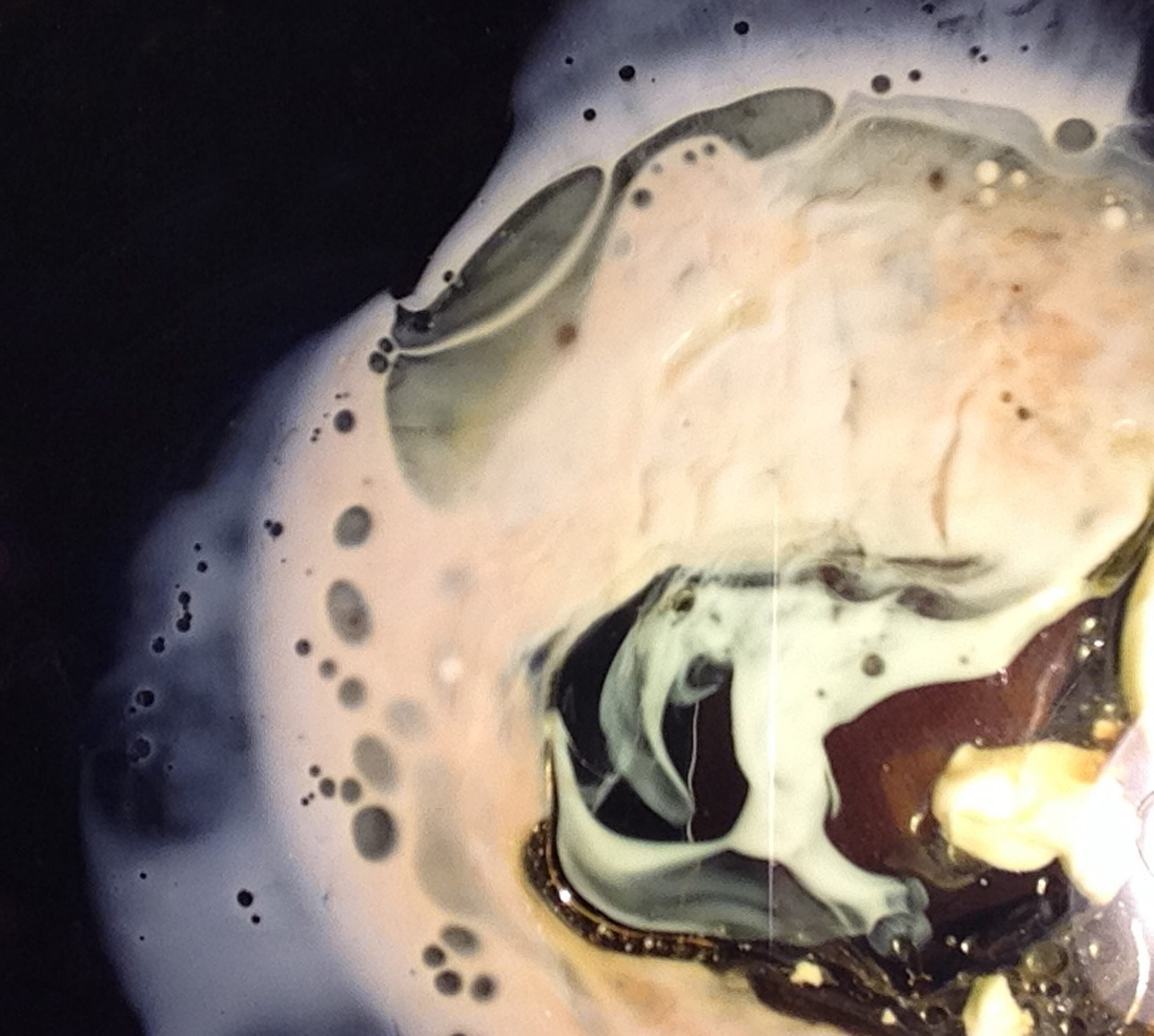 Food, Complexity, and Learning: Using Design to 'Ecologize' Gastronomy