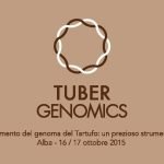 TUBER GENOMICS - Il sequenziamento del genoma del tartufo