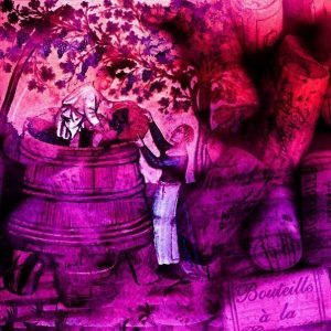 Finding the Crossover between Wine, Anthropology and Genomics